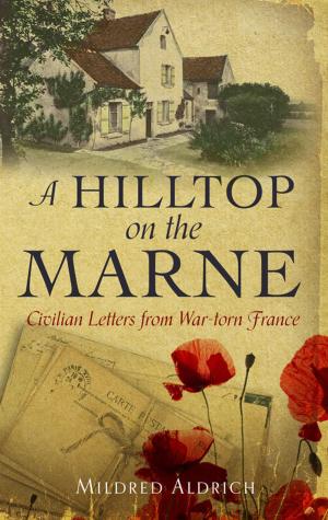 Cover of the book A Hilltop on the Marne by Earl Derr Biggers