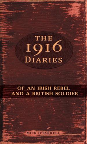 Cover of the book The 1916 Diaries of an Irish Rebel and a British Soldier by Mr Sean McMahon