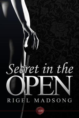 Book cover of Secret in the Open
