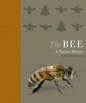 Cover of the book The Bee: A Natural History by Chris McLaughlin, Nicola Hall