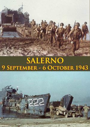 Cover of the book Salerno by Cornelius Ryan
