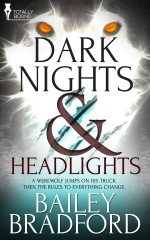 Book cover of Dark Nights and Headlights