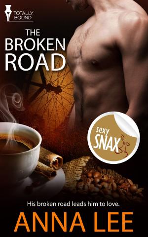 Cover of the book The Broken Road by Lisabet Sarai