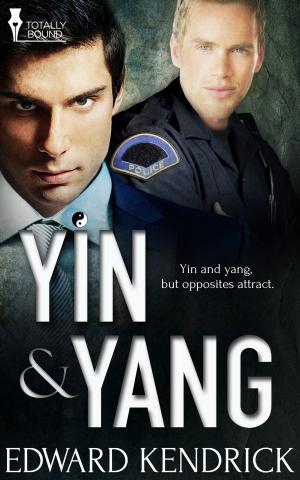 Cover of the book Yin and Yang by JC Holly