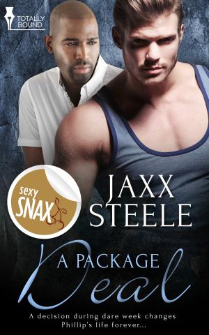 Cover of the book A Package Deal by Justine Elyot