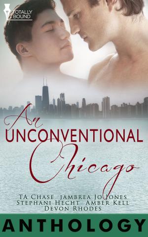 bigCover of the book An Unconventional Chicago by 
