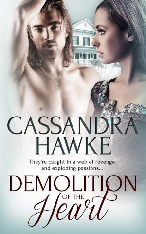Cover of the book Demolition of the Heart by Cheyenne Meadows