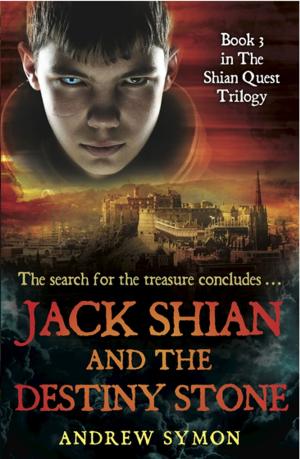 Cover of the book Jack Shian and the Destiny Stone by Richard Gordon