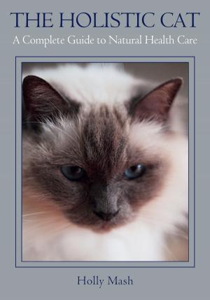 Cover of the book Holistic Cat by David Chalfen