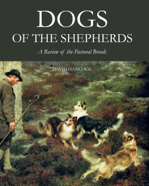 Cover of the book Dogs of the Shepherds by Sue Gould-Wright