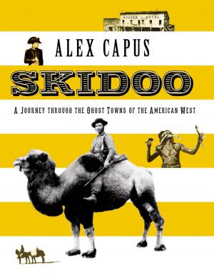 Cover of the book Skidoo by Mihir Bose