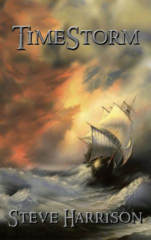 Cover of the book TimeStorm by David Craig