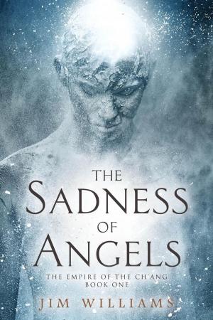 Cover of the book The Sadness of Angels by Jim Williams, Jim Williams, Jeremy Hinchliff, John Holland, Gerry McCullough, Alexandar Altman, R. A. Barnes, Maura Barrett, Eileen Condon, Mary Healy, Susan Howe, Damon King, Mary Mitchell, Jeanne O'Dwyer, Michael Rumsey, Valerie Ryan, Dennis Thompson, Catherine Tynan, T. West