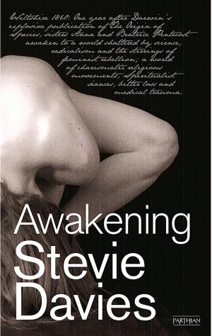 Cover of the book Awakening by Meic Stephens