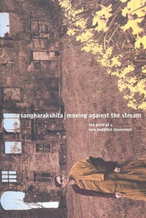 Cover of the book Moving Against the Stream by Amy Schmidt