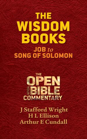 Cover of the book The Wisdom Books by Robin E. Nixon