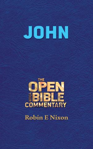 Cover of the book John by Patricia Batoba Jones