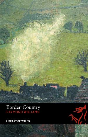 Cover of the book Border Country by Alix Nathan