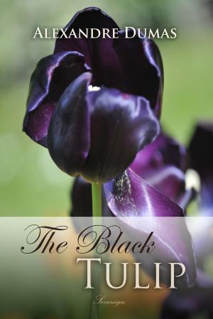 Cover of the book The Black Tulip by John Buchan