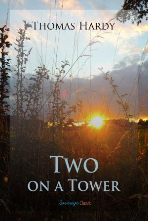Cover of the book Two on a Tower by James Stephens