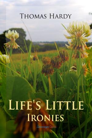Cover of the book Life's Little Ironies by E. Hoffmann