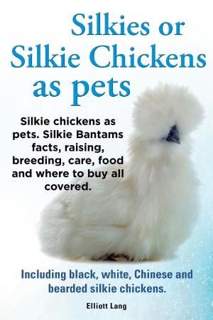 Cover of Silkies or Silkie Chickens as pets. Silkie chickens as pets. Silkie Bantams facts, raising, breeding, care, food and where to buy all covered. Including black, white, Chinese and bearded silkie chickens.