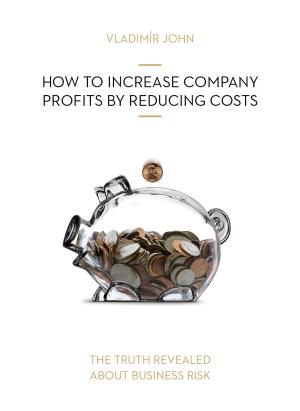 Cover of How to Increase Company Profits By Reducing Costs