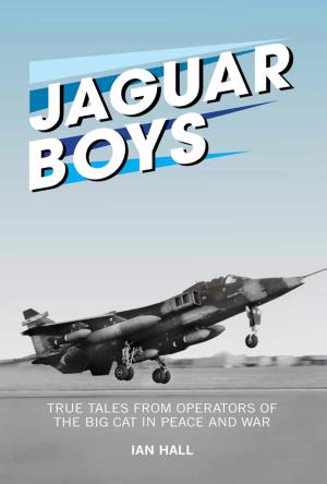Book cover of Jaguar Boys