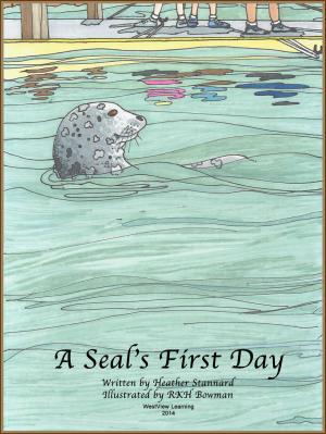 Cover of the book A Seal's First Day by Judith Graves
