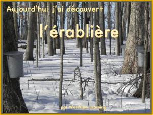 Cover of the book Aujourd’hui j’ai découvert L’érablière by Brian Andrews