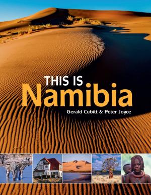 Cover of the book This is Namibia by 