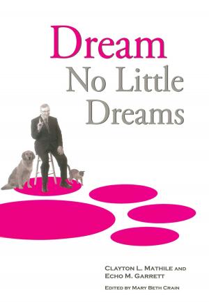 Book cover of Dream No Little Dreams