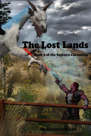 Cover of the book The Lost Lands by F. SANTINI
