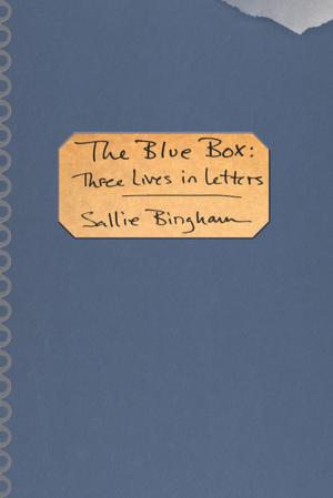 Cover of the book The Blue Box by Vickie Jenkins