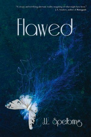 Cover of the book Flawed by Erica Cameron