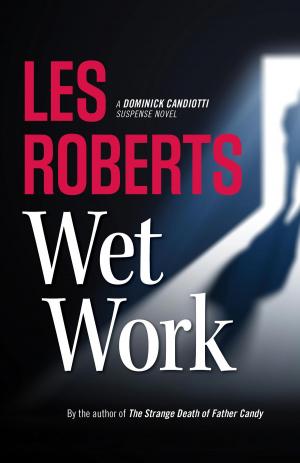 Cover of the book Wet Work by James Renner