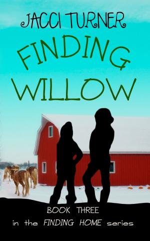 Cover of the book Finding Willow by Terry Katzer