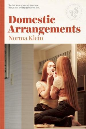 Book cover of Domestic Arrangements