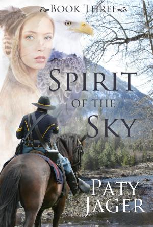 bigCover of the book Spirit of the Sky by 