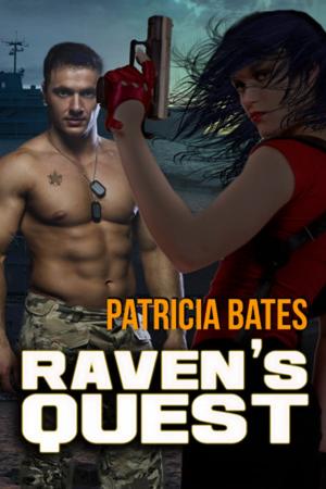 Book cover of Raven's Quest