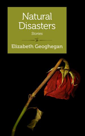 Cover of the book Natural Disasters by Iris Waichler, MSW, LCSW