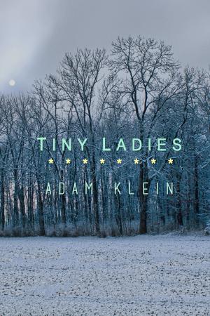 Cover of the book Tiny Ladies by Tracy Daugherty
