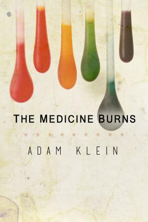 Cover of the book Medicine Burns by Joseph McElroy