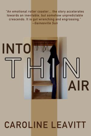 Cover of the book Into Thin Air by Stephen Graham Jones