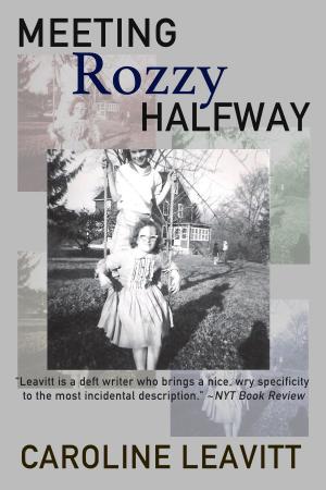 Cover of the book Meeting Rozzy Halfway by David Galef
