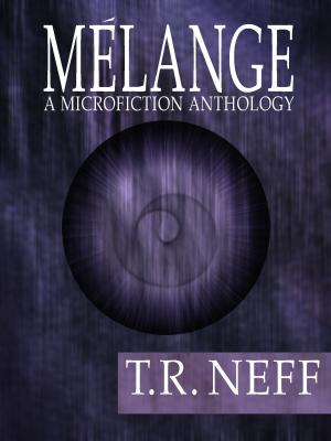 Cover of the book Melange by Needle In The Hay, Alicia Bruzzone, Cam Dang, Martin De Biasi, Amber Fernie, David R. Ford, Sarah Henry, Ted Inver, Yuki Iwama, Nick Lachmund, Madeline Pettet, Lydia Trethewey