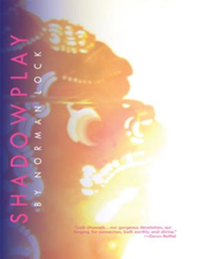 Cover of the book Shadowplay by Janet Kauffman