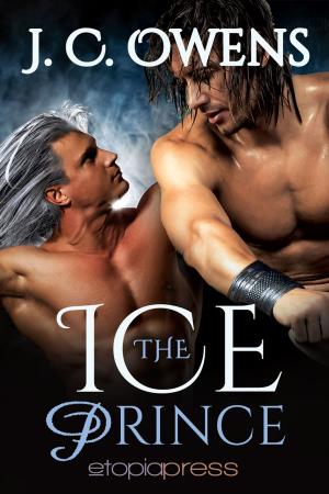 Cover of the book The Ice Prince by A. C. Fox