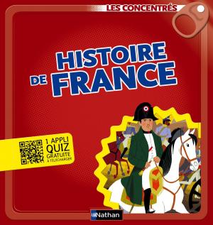 Cover of the book Histoire de France - Les Concentrés by Susie Morgenstern