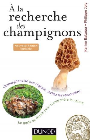 Cover of the book A la recherche des champignons - 2e. éd. by Gustave-Nicolas Fischer, Virginie Dodeler